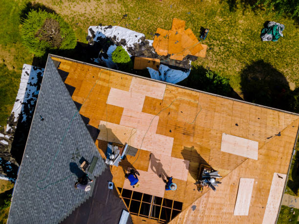 Best Metal Roofing Contractor  in Luxemburg, WI