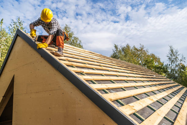 Best Roof Gutter Cleaning  in Luxemburg, WI